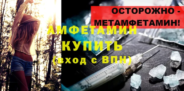 прущие грибы Осинники