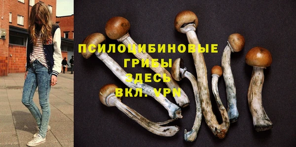 jwh Алзамай