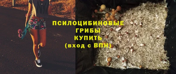 ГАЛЛЮЦИНОГЕННЫЕ ГРИБЫ Алексин