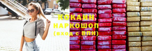 прущие грибы Осинники